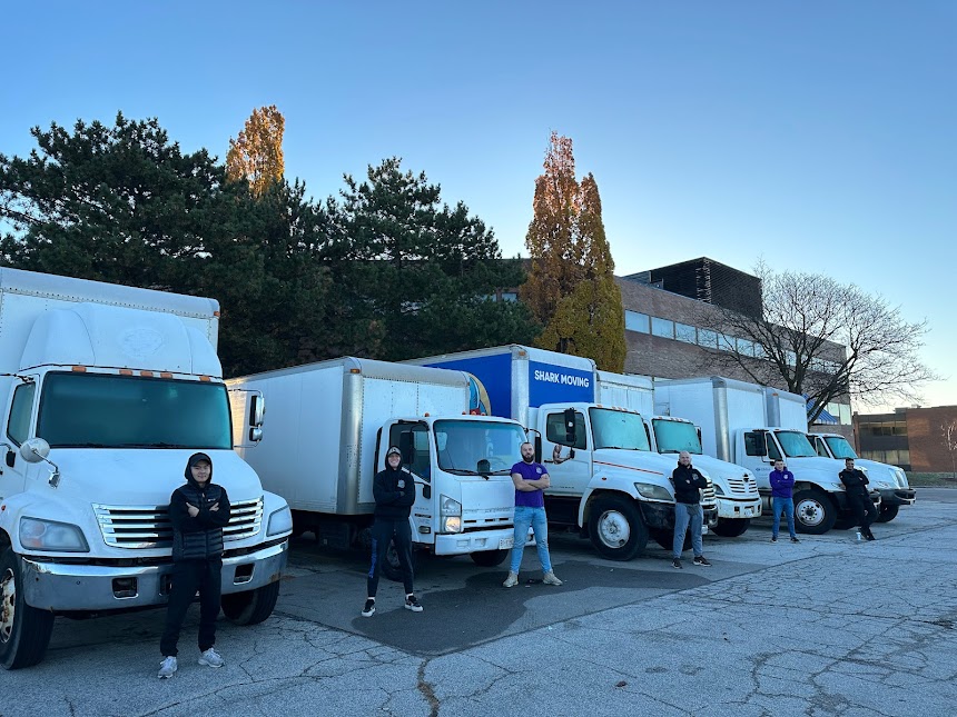 Shark Moving Company